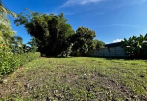 Corner Lot for Sale in Uvita 8-Minute Walk to Marino Ballena Beach – 192252 (6)
