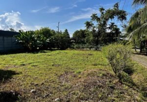 Corner Lot for Sale in Uvita 8-Minute Walk to Marino Ballena Beach – 192252 (7)