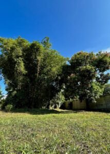 Corner Lot for Sale in Uvita 8-Minute Walk to Marino Ballena Beach – 192252 (9)