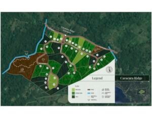 Mountain View Lot for Sale in Ojochal Caracara Ridge Lot 11 – 192268 (1)
