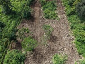 Mountain View Lot for Sale in Ojochal Caracara Ridge Lot 11 – 192268 (12)