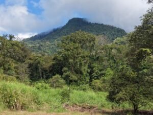 Mountain View Lot for Sale in Ojochal Caracara Ridge Lot 11 – 192268 (14)