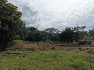 Mountain View Lot for Sale in Ojochal Caracara Ridge Lot 11 – 192268 (2)