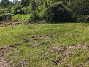 Mountain View Lot for Sale in Ojochal Caracara Ridge Lot 11 – 192268 (9)