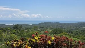 Ocean View 4 Bedroom Home in Ojochal Gated Community Estate- 192382 (15)