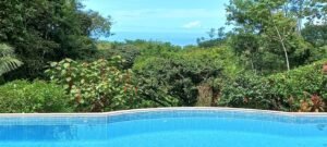 Ojochal Ocean View Home for Sale 3 Bedroom Jungle Retreat on 1.5 Acres – 192946 (1)