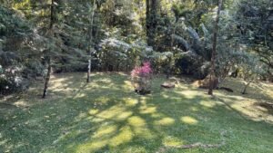 Ojochal Ocean View Home for Sale 3 Bedroom Jungle Retreat on 1.5 Acres – 192946 (24)