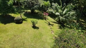 Ojochal Ocean View Home for Sale 3 Bedroom Jungle Retreat on 1.5 Acres – 192946 (3)
