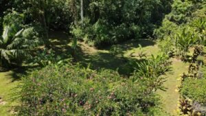 Ojochal Ocean View Home for Sale 3 Bedroom Jungle Retreat on 1.5 Acres – 192946 (33)