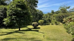 Ojochal Ocean View Home for Sale 3 Bedroom Jungle Retreat on 1.5 Acres – 192946 (5)