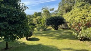 Ojochal Ocean View Home for Sale 3 Bedroom Jungle Retreat on 1.5 Acres – 192946 (6)