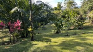Ojochal Ocean View Home for Sale 3 Bedroom Jungle Retreat on 1.5 Acres – 192946 (7)