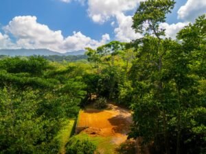 Prime Las Brisas Ocean View Property with New Home & Development Potential Uvita, Costa Rica (2)