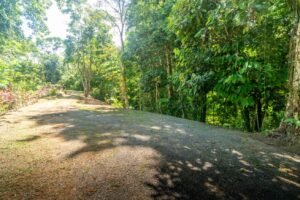 Prime Las Brisas Ocean View Property with New Home & Development Potential Uvita, Costa Rica (25)