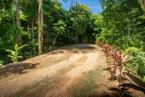 Prime Las Brisas Ocean View Property with New Home & Development Potential Uvita, Costa Rica (26)