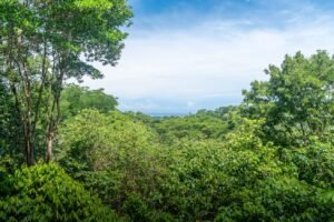 Prime Las Brisas Ocean View Property with New Home & Development Potential Uvita, Costa Rica (29)