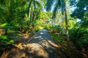 Uvita Ocean View Home for Sale Whale Tail Views & Infinity Pool – 192886 (54)