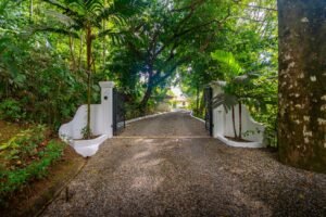 Villa Allamanda – Private Mountain Oasis with Ocean & Jungle Views in Tres Ríos (10)