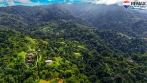 1 (115) 1