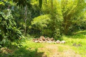 1.36 Acre Jungle View Lot in San Buenas Ready to Build Near Ojochal – 197031 (10)