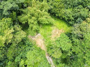 1.36 Acre Jungle View Lot in San Buenas Ready to Build Near Ojochal – 197031 (12)