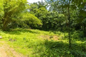 1.36 Acre Jungle View Lot in San Buenas Ready to Build Near Ojochal – 197031 (13)
