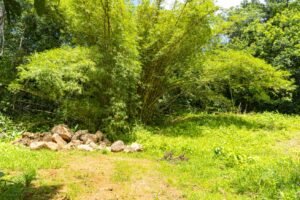 1.36 Acre Jungle View Lot in San Buenas Ready to Build Near Ojochal – 197031 (2)