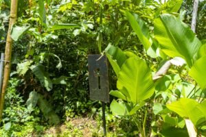 1.36 Acre Jungle View Lot in San Buenas Ready to Build Near Ojochal – 197031 (4)