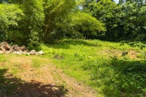 1.36 Acre Jungle View Lot in San Buenas Ready to Build Near Ojochal – 197031 (6)