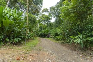 1.36 Acre Jungle View Lot in San Buenas Ready to Build Near Ojochal – 197031 (9)