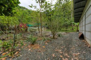 10_gardens_4