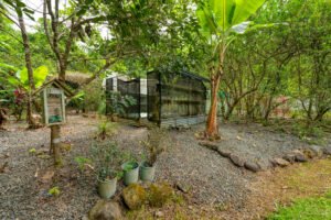 10_gardens_5