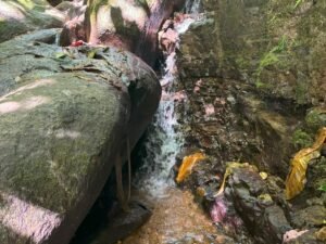 110.17 Acres Ocean View Mountain Estate with Waterfalls Near Hatillo, Costa Rica – 197982 (1)