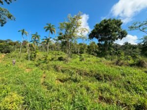 110.17 Acres Ocean View Mountain Estate with Waterfalls Near Hatillo, Costa Rica – 197982 (10)