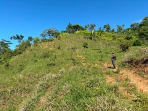 110.17 Acres Ocean View Mountain Estate with Waterfalls Near Hatillo, Costa Rica – 197982 (11)