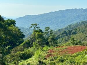 110.17 Acres Ocean View Mountain Estate with Waterfalls Near Hatillo, Costa Rica – 197982 (13)