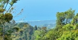 110.17 Acres Ocean View Mountain Estate with Waterfalls Near Hatillo, Costa Rica – 197982 (14)