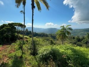 110.17 Acres Ocean View Mountain Estate with Waterfalls Near Hatillo, Costa Rica – 197982 (15)