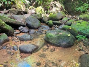 110.17 Acres Ocean View Mountain Estate with Waterfalls Near Hatillo, Costa Rica – 197982 (16)