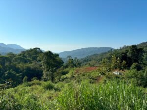 110.17 Acres Ocean View Mountain Estate with Waterfalls Near Hatillo, Costa Rica – 197982 (17)