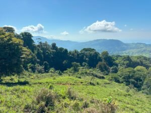 110.17 Acres Ocean View Mountain Estate with Waterfalls Near Hatillo, Costa Rica – 197982 (18)