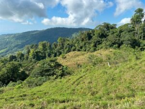 110.17 Acres Ocean View Mountain Estate with Waterfalls Near Hatillo, Costa Rica – 197982 (19)