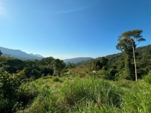 110.17 Acres Ocean View Mountain Estate with Waterfalls Near Hatillo, Costa Rica – 197982 (2)