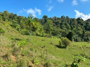 110.17 Acres Ocean View Mountain Estate with Waterfalls Near Hatillo, Costa Rica – 197982 (20)