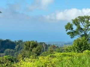110.17 Acres Ocean View Mountain Estate with Waterfalls Near Hatillo, Costa Rica – 197982 (21)