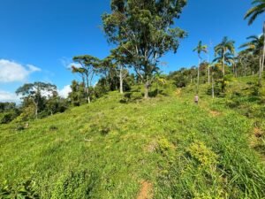 110.17 Acres Ocean View Mountain Estate with Waterfalls Near Hatillo, Costa Rica – 197982 (23)