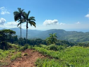 110.17 Acres Ocean View Mountain Estate with Waterfalls Near Hatillo, Costa Rica – 197982 (24)