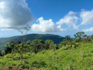 110.17 Acres Ocean View Mountain Estate with Waterfalls Near Hatillo, Costa Rica – 197982 (25)