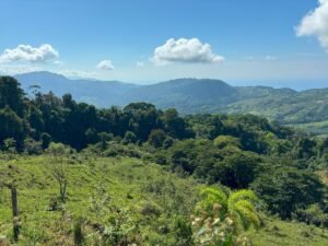 110.17 Acres Ocean View Mountain Estate with Waterfalls Near Hatillo, Costa Rica – 197982 (26)