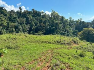 110.17 Acres Ocean View Mountain Estate with Waterfalls Near Hatillo, Costa Rica – 197982 (28)